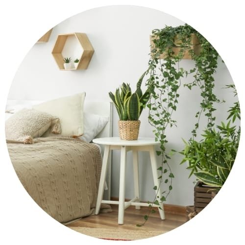 tendances 2025 décoration biophilique jardins et pots suspendus