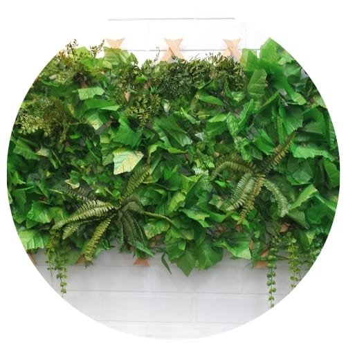 tendances 2025 décoration biophilique mur végétal ou séparation végétale